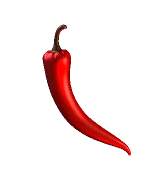Carlos Sainz chilli